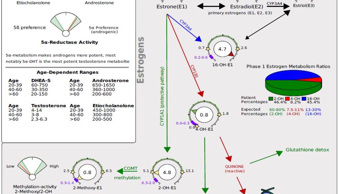 dutch-F-estrogen-pathways